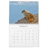 Fotografie-Kalender 2011 Kalender (Feb 2027)