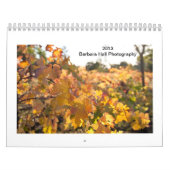 Fotografie-Kalender 2013 Barbaras Hall Kalender (Titelbild)