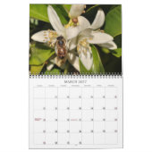 Fotografie-Kalender 2013 Kalender (Mär 2027)