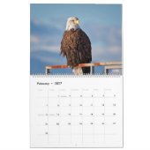 Fotografie-Kalender 2017 Kalender (Feb 2027)