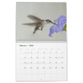 Fotografie-Kolibris Lara Ellis Kalender (Feb 2026)