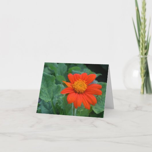 Fotografie Notecard Karte (Vorderseite)
