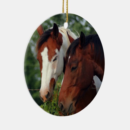 Fotografie-Pferd Keramikornament (Rechts)