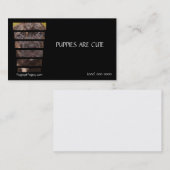 Fotografie-Stock Corso Welpe Visitenkarte (Vorne/Hinten)