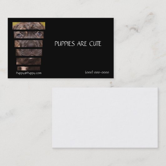 Fotografie-Stock Corso Welpe Visitenkarte (Vorne/Hinten)