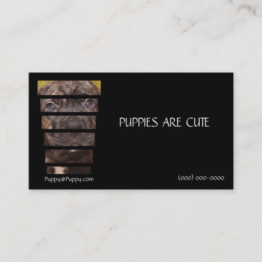 Fotografie-Stock Corso Welpe Visitenkarte (Vorderseite)