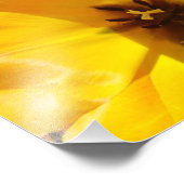 Fotografie Tulip Blume Kunstdrucke Gerahmte Florie (Ecke)