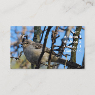 Fotografie-Visitenkarte Visitenkarte