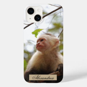 Fotografie von Affen mit weißer Gesichtskapuchin Case-Mate iPhone 14 Hülle