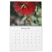 Fotografie von Bienen und Blume - Naturkalender Kalender (Feb 2026)