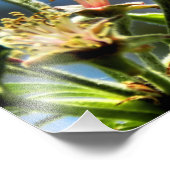 Fotografie von Bienen und Weißen Blumen (Ecke)