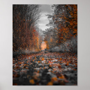 Fotografie von Fall Trees Poster