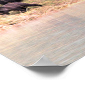 Fotografie von Mutter Grizzly und 2 Drehkreuzen Poster (Ecke)