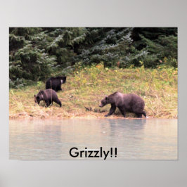 Fotografie von Mutter Grizzly und 2 Drehkreuzen Poster