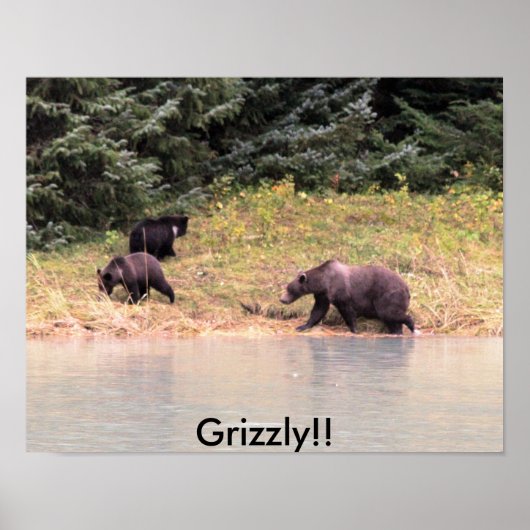 Fotografie von Mutter Grizzly und 2 Drehkreuzen Poster (Vorne)