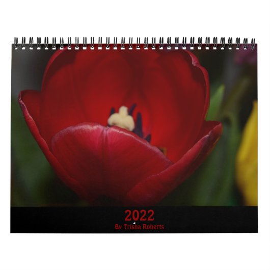 Fotografie von Trisha Roberts Calendar Kalender (Titelbild)