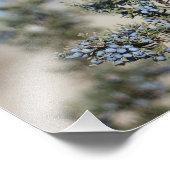 Fotografie von Wacholderbeeren (Ecke)