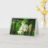 Fotografie von White Lilac Blume Cluster Karte (Gelbe Blume)