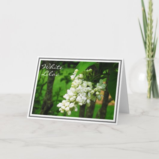 Fotografie von White Lilac Blume Cluster Karte (Vorderseite)