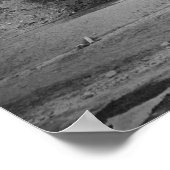 Fotografie zur Reduzierung von Todesholz Poster (Ecke)