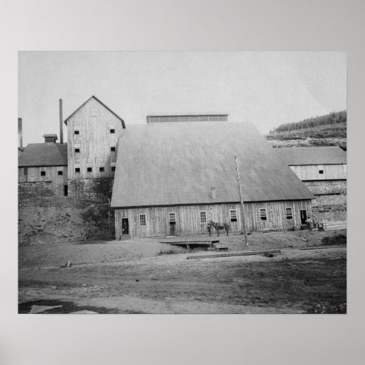 Fotografie zur Reduzierung von Todesholz Poster (Vorne)