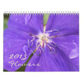 Fotografiekalender mit 2013 schöner Blumen Kalender (Titelbild)