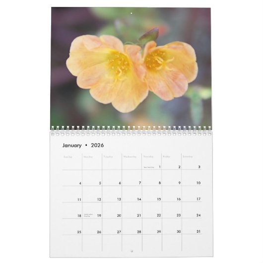 Fotografiekalender mit 2013 schöner Blumen Kalender (Jan 2026)