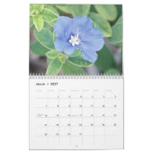 Fotografiekalender mit 2013 schöner Blumen Kalender (Mär 2027)