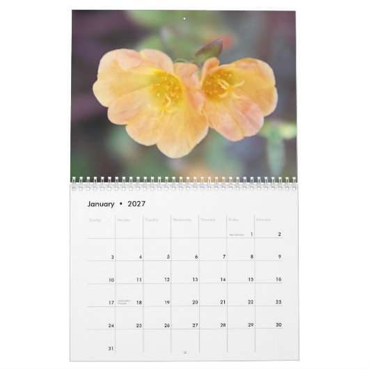 Fotografiekalender mit 2013 schöner Blumen Kalender (Jan 2027)