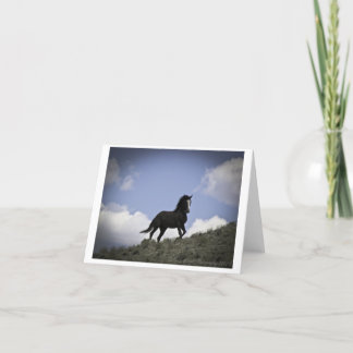 Fotografiekarte für Wild Pferde Karte