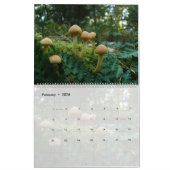 FOTOGRAFIEN DES PIENPANO-MUSHROOM KALENDER (Feb 2026)