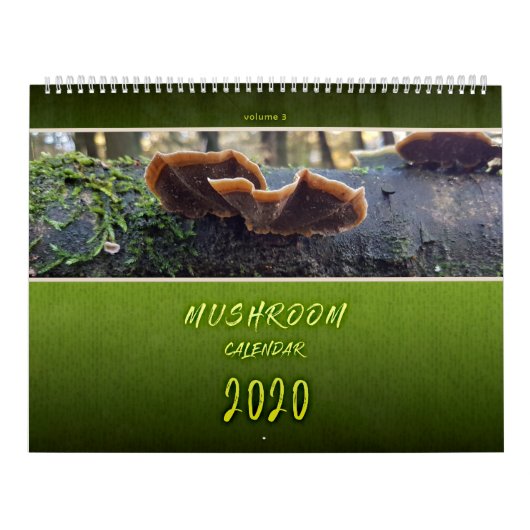 FOTOGRAFIEN DES PIENPANO-MUSHROOM KALENDER (Titelbild)