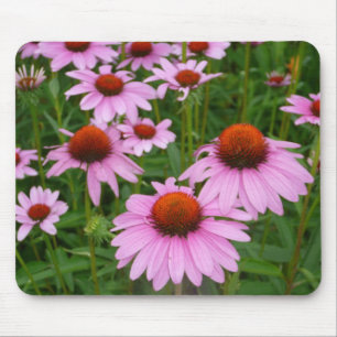 Fotografiere heiße rosa Blumen im Garten Mousepad
