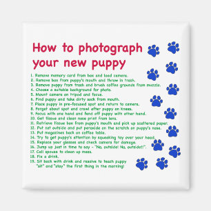 Fotografieren des neuen Welpen Magnet