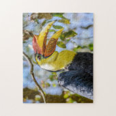 Fotografieren gefleckter Hornbill-Bird in Bäumen Puzzle (Vertikal)