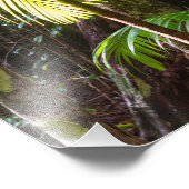 Fotografieren von grünen Regenwald-Blätter Austral Fotodruck (Ecke)