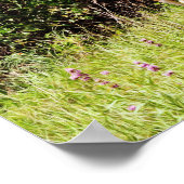 Fotografierende Kunst im Wilden und Süßen Hirschen Poster (Ecke)