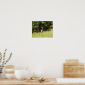 Fotografierende Kunst im Wilden und Süßen Hirschen Poster (Küche)