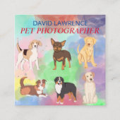 Fotografin für Haustiere - Geschäftskarte für Haus Quadratische Visitenkarte (Vorderseite)