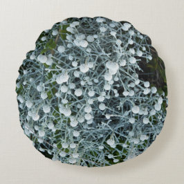 fotografiqqq uniqe pillow rundes kissen