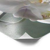 Fotografisch gedruckte Orchideen Fotodruck (Ecke)