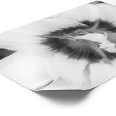 Fotografische Drucklilie Fotodruck (Ecke)