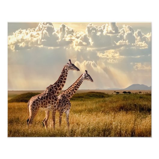 Fotografische Giraffe Fotodruck (Vorne)