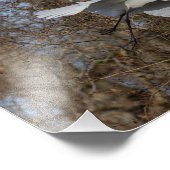 Fotografische Vergrößerung der großen Schlinge Fotodruck (Ecke)