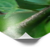 Fotografische Vergrößerung Fotodruck (Ecke)