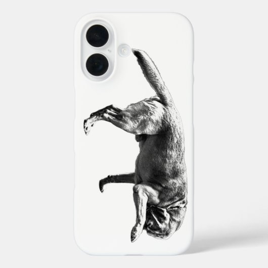 Fotografischer Charme Case-Mate iPhone Hülle (Rückseite)