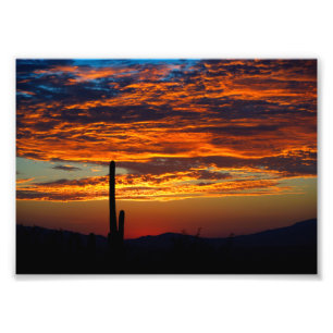 Fotografischer Print-Südwest-Kaktus-Sonnenuntergan Fotodruck