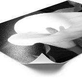 Fotografisches Druckcala Lily Fotodruck (Ecke)