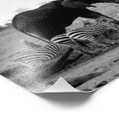 Fotografisches Druckelement und Zebras Fotodruck (Ecke)