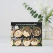 Fotografy Woven Baskets, Charleston SC Postkarte (Stehend Vorderseite)